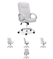Silla_Director_P_4eb42876c6372.jpg